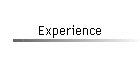 Experience