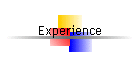 Experience